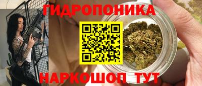 стаф Братск
