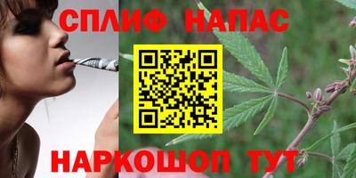 герыч Боровичи